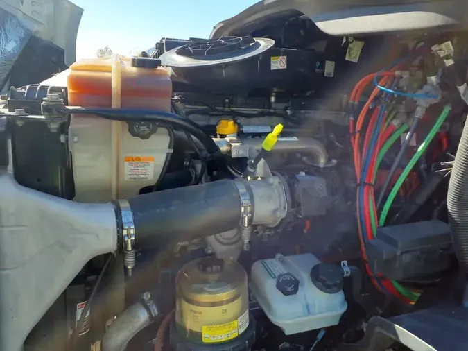 2019 FREIGHTLINER/MERCEDES CASCADIA 113