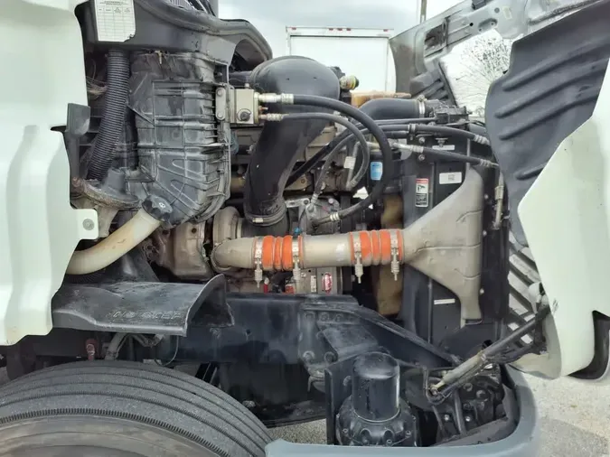 2019 FREIGHTLINER CASCADIA 113
