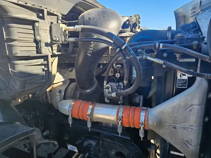 2019 FREIGHTLINER/MERCEDES CASCADIA 113