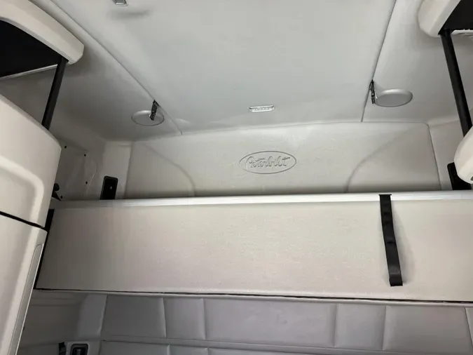 2021 Peterbilt 579