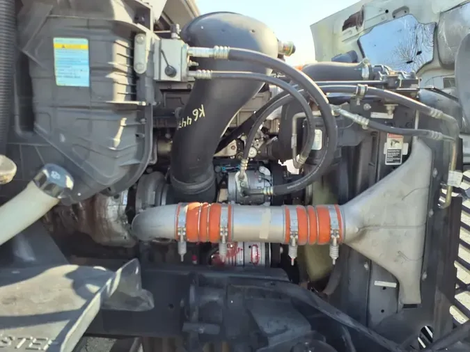 2019 FREIGHTLINER CASCADIA 113