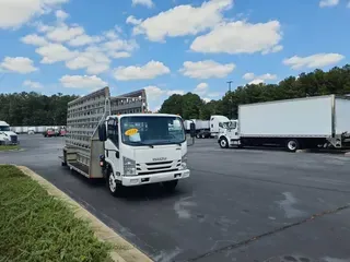 2019 ISUZU NRR