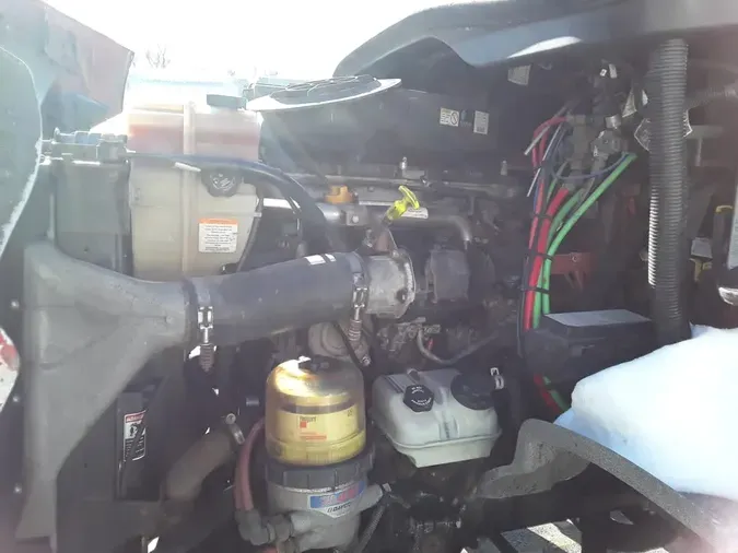 2019 FREIGHTLINER/MERCEDES CASCADIA 113