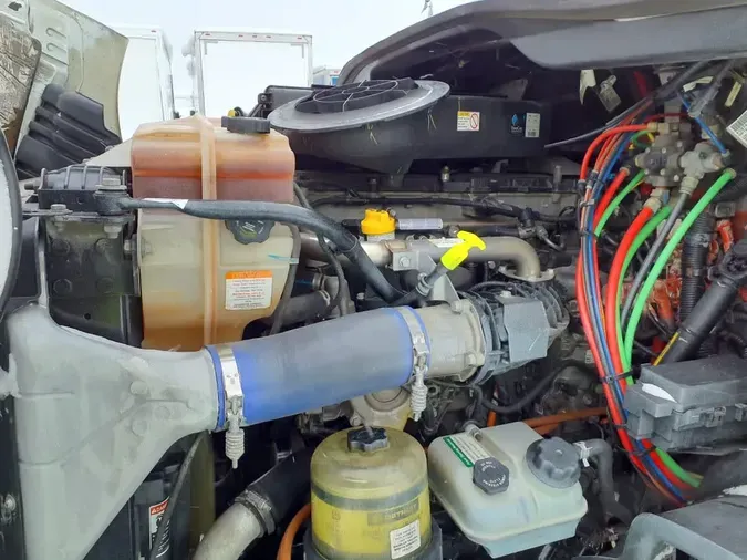 2019 FREIGHTLINER/MERCEDES CASCADIA 113