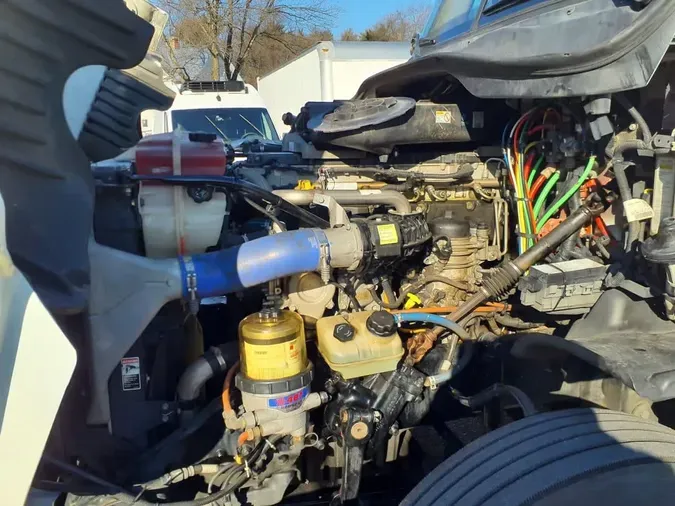 2019 FREIGHTLINER/MERCEDES CASCADIA 125