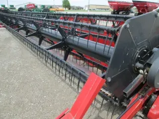 2010 Case IH 2020