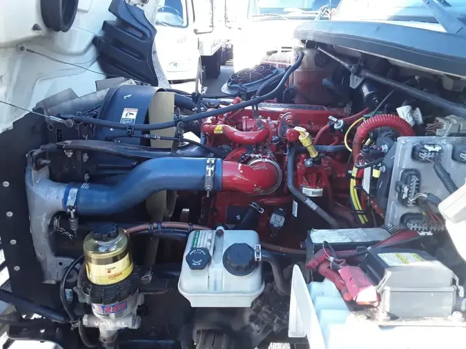 2019 FREIGHTLINER/MERCEDES M2 1061430f0dee2daa18c6a77dd9d459e0369