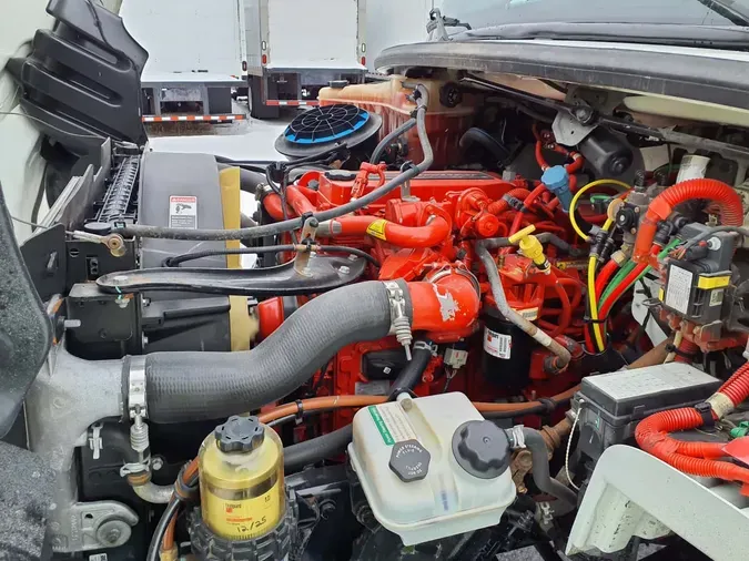 2019 FREIGHTLINER/MERCEDES M2 1061780c23d6567896419269892e365b650