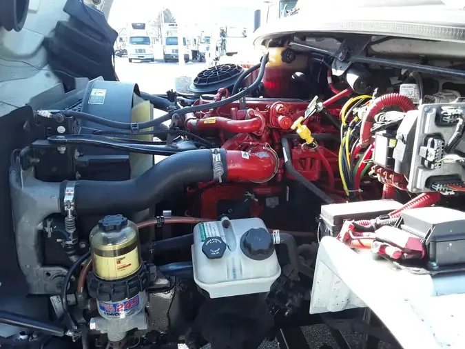 2019 FREIGHTLINER/MERCEDES M2 106184dd4f11295eca853daffaee6af5c96