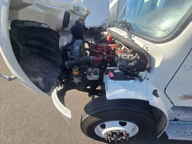 2019 FREIGHTLINER/MERCEDES M2 10618b896dfcb656f63ca7422654709db72