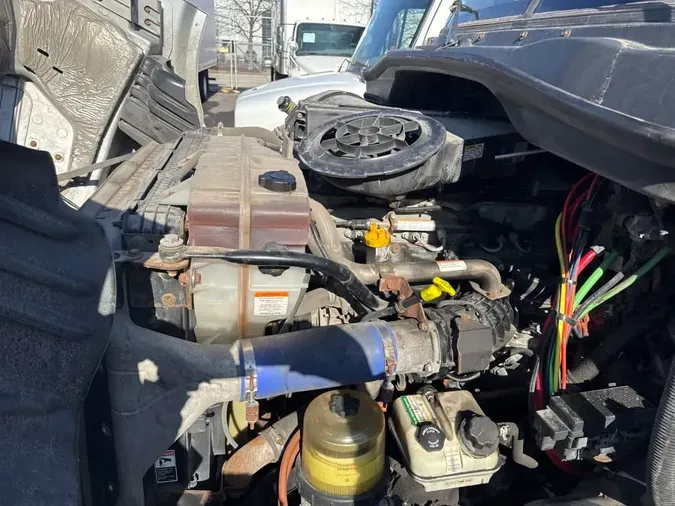 2019 FREIGHTLINER/MERCEDES CASCADIA 113