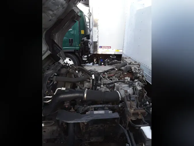 2020 ISUZU NQR1b1666bbeabdd968ee1f8b8e4606138d