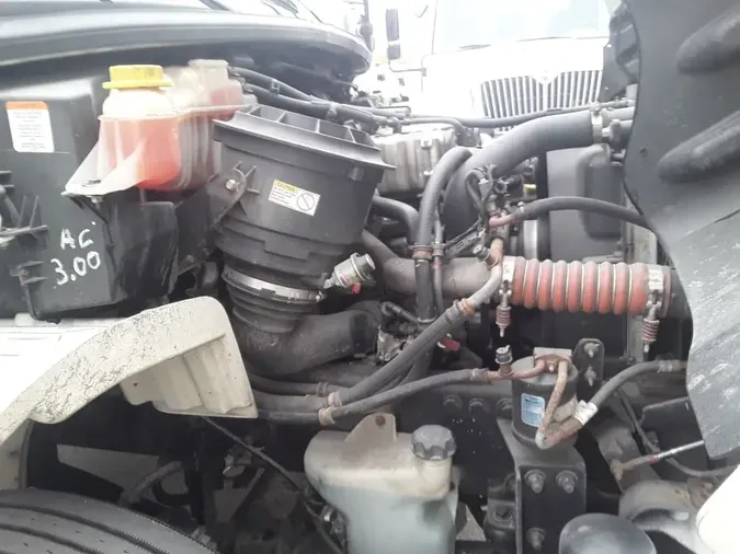 2019 FREIGHTLINER/MERCEDES M2 1061c591b39773c6fbb43646689df98218e