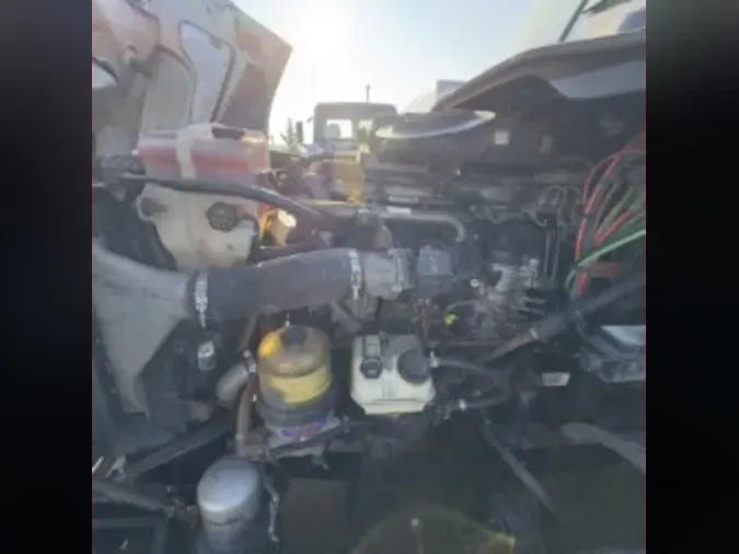 2019 FREIGHTLINER/MERCEDES CASCADIA 1251c9f920b4b9241591ac63503c8110f5d