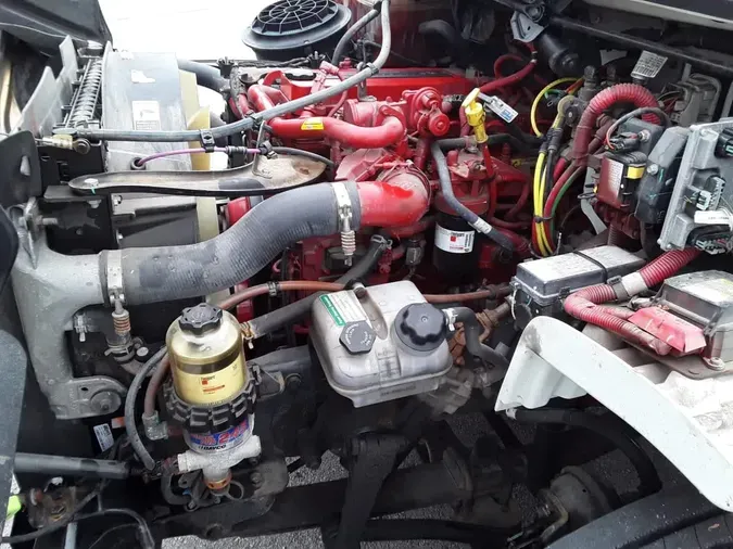 2019 FREIGHTLINER/MERCEDES M2 106