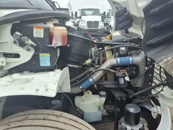 2019 FREIGHTLINER/MERCEDES M2 1062131ea02137da0ba1b556e2911e70db3