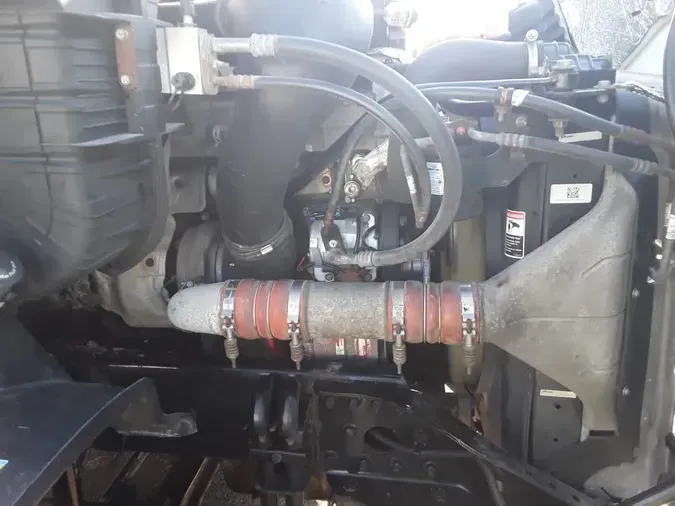 2019 FREIGHTLINER/MERCEDES CASCADIA 113