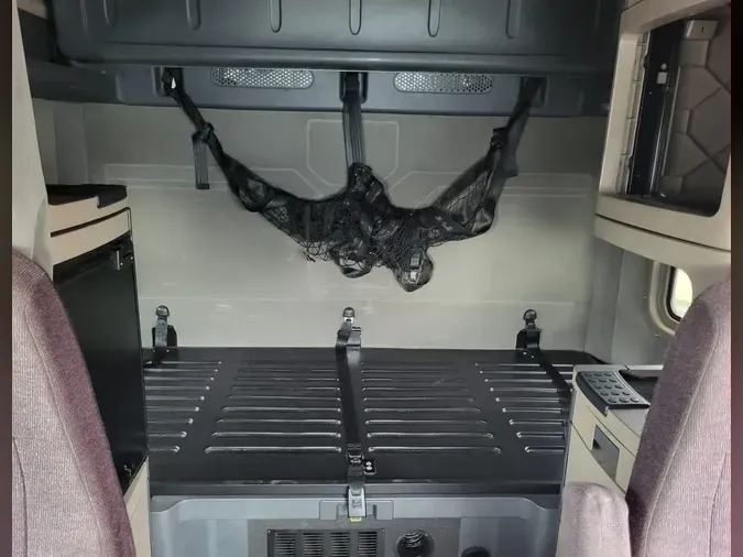 2020 FREIGHTLINER/MERCEDES CASCADIA 125226f6d605fce1759f317e4ba7d9272f1