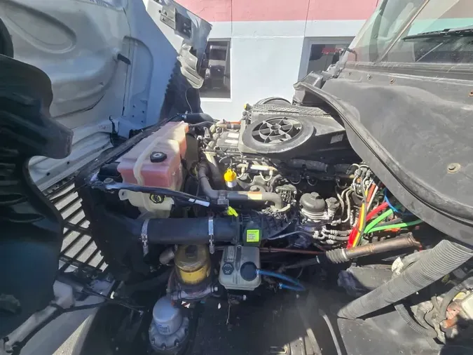 2019 FREIGHTLINER/MERCEDES CASCADIA 1252411fa7e85eb5f626da629f99cc4e6f9