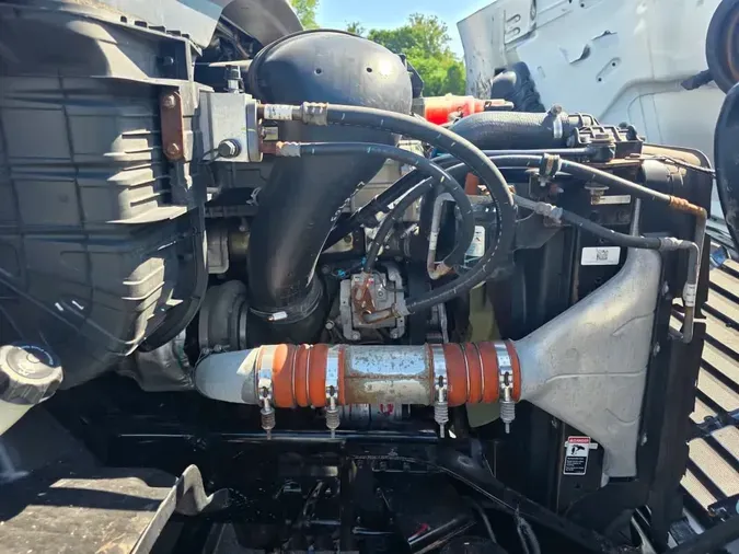 2020 FREIGHTLINER/MERCEDES CASCADIA 113255e8a116b95d4b5a89f2e8eca93fa04