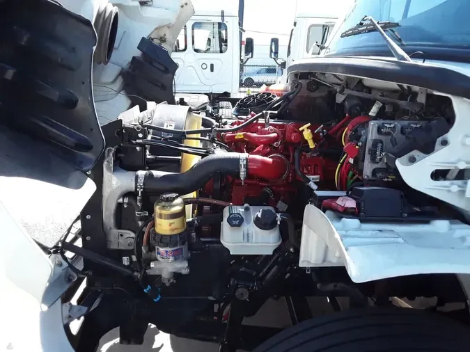 2019 FREIGHTLINER/MERCEDES M2 1062905d68a94e10a946c21e70ff8b83734