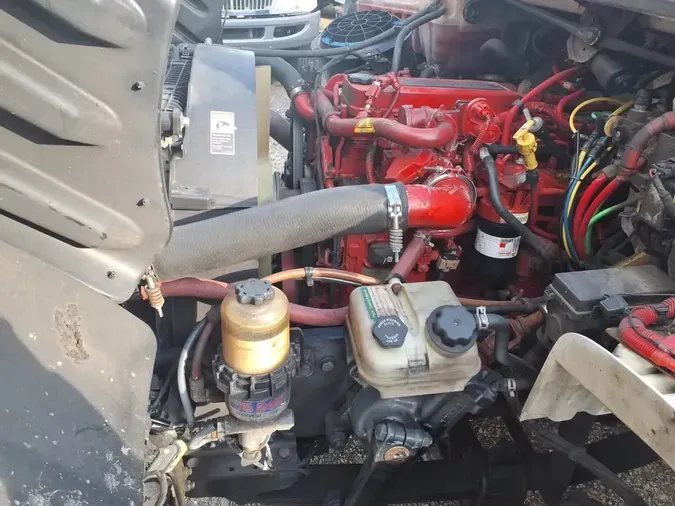 2019 FREIGHTLINER/MERCEDES M2 1062bcf1fd77514ce2c59995411f88e9b9c