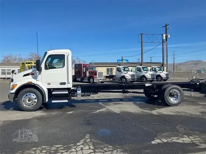 2025 PETERBILT 537