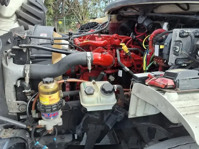 2019 FREIGHTLINER/MERCEDES M2 106