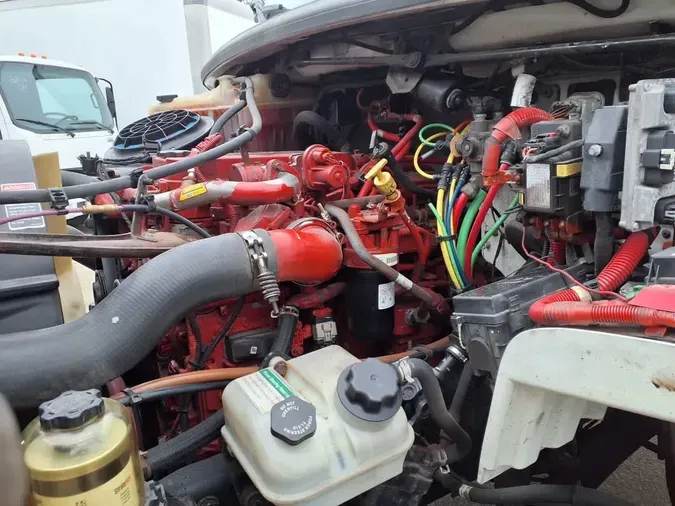 2019 FREIGHTLINER/MERCEDES M2 106