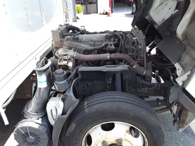 2019 ISUZU NPR