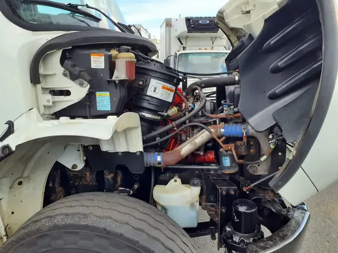 2019 FREIGHTLINER/MERCEDES M2 1063098801c8e62580541c796532232072b