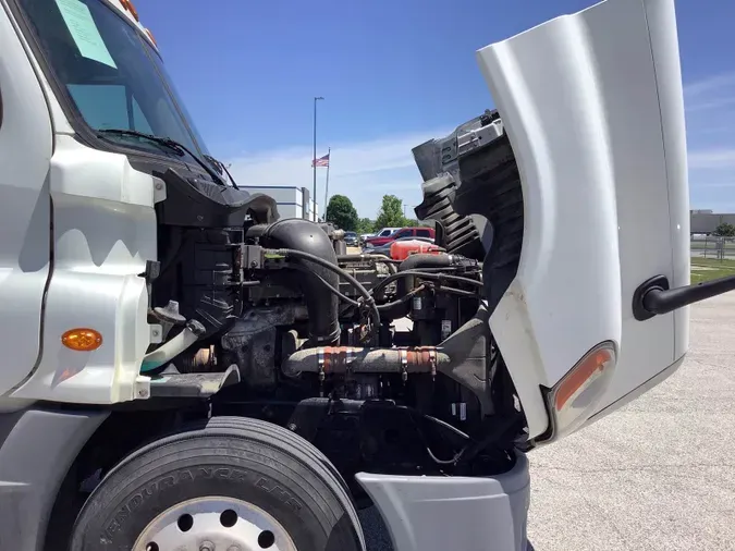 2019 Freightliner Cascadia 12531ddaabcc8702f13ab01f844b53fb6d1
