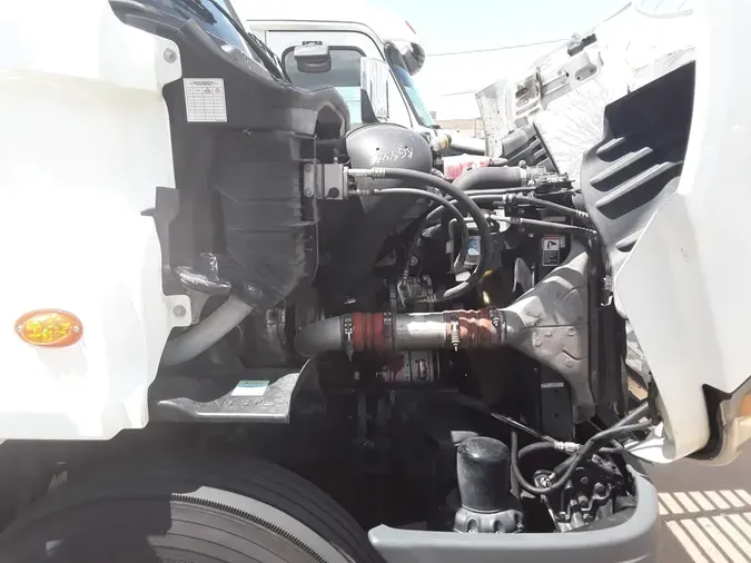 2019 FREIGHTLINER CASCADIA 113
