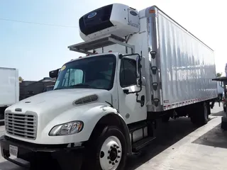 2019 FREIGHTLINER/MERCEDES M2 106