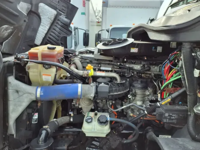 2019 FREIGHTLINER/MERCEDES CASCADIA 125