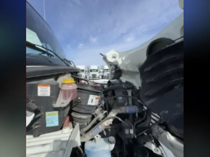 2019 FREIGHTLINER/MERCEDES M2 106376221a2fc33baa8418822ffd958a83a