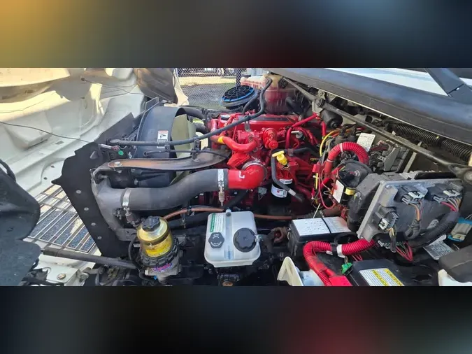 2019 FREIGHTLINER/MERCEDES M2 106
