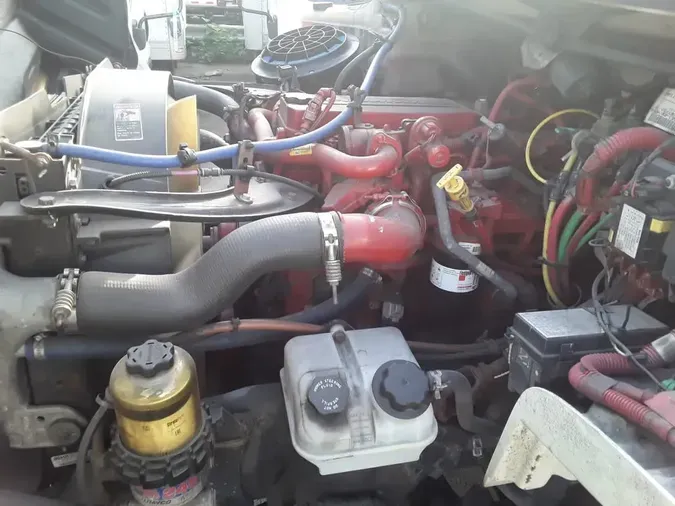 2019 FREIGHTLINER/MERCEDES M2 1063b49b5a604431e41b7507d336f49009b