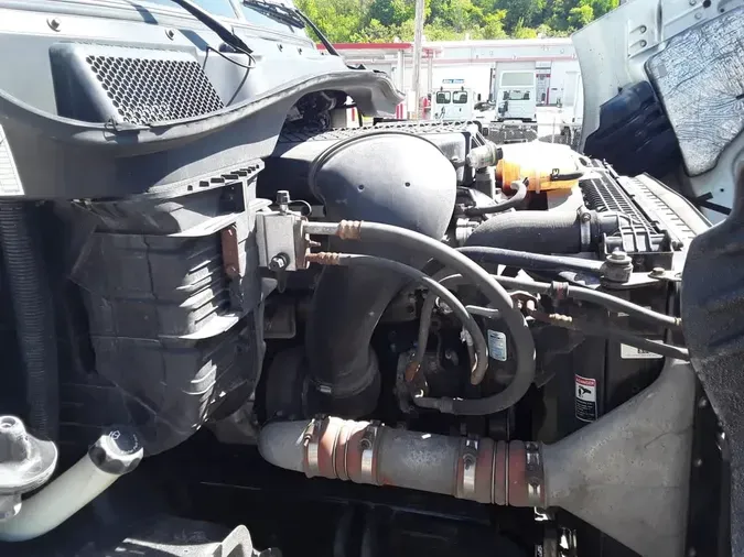 2019 FREIGHTLINER/MERCEDES CASCADIA 1133d8831ebf9979d12a699941596cc9b30