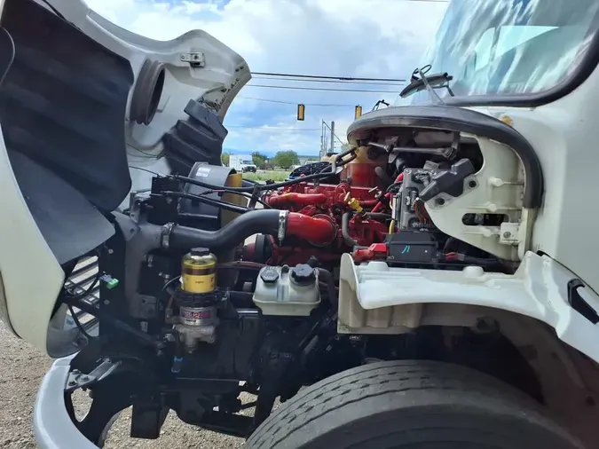 2019 FREIGHTLINER/MERCEDES M2 106