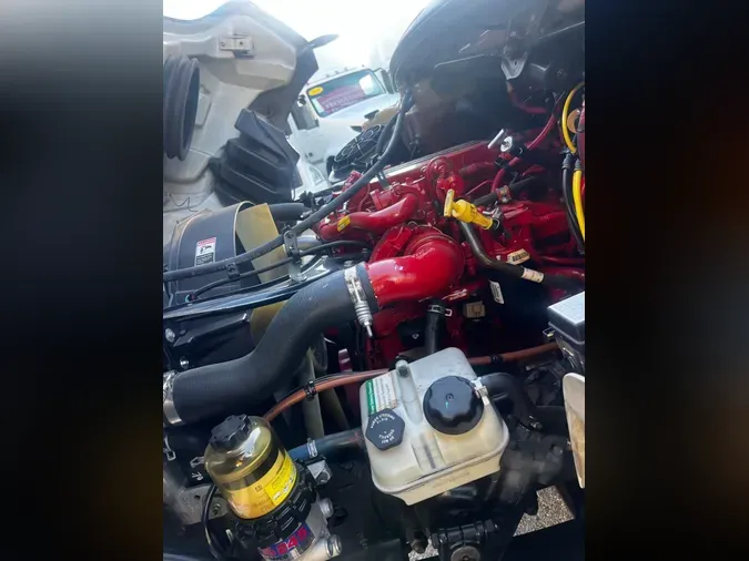 2019 FREIGHTLINER/MERCEDES M2 106