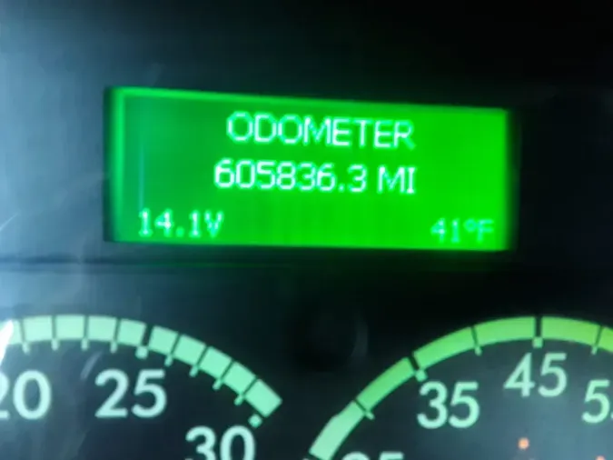 2019 FREIGHTLINER/MERCEDES CASCADIA 113