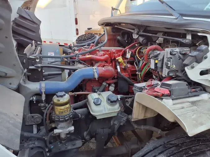 2019 FREIGHTLINER/MERCEDES M2 106