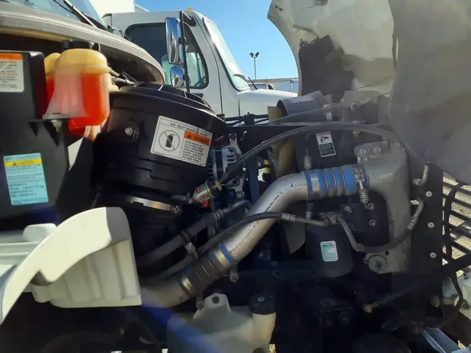 2019 FREIGHTLINER/MERCEDES M2 106431bc2f218d523b02791d96bfecb8a32