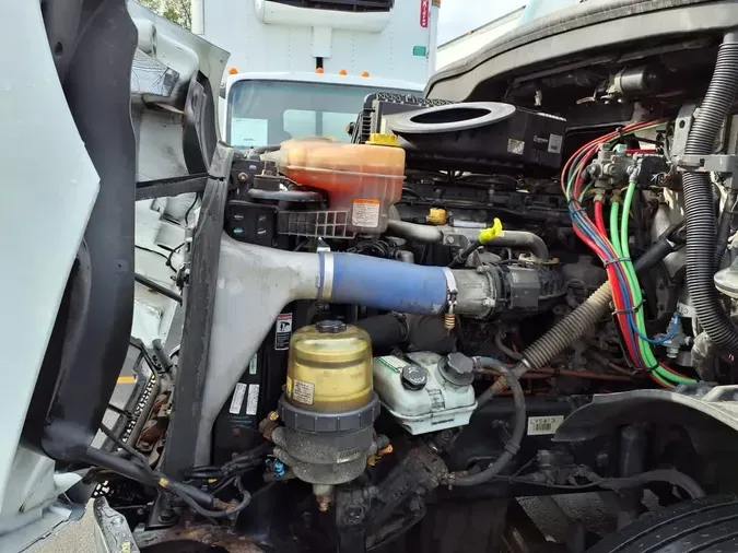 2020 FREIGHTLINER/MERCEDES NEW CASCADIA 116