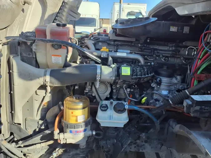 2019 FREIGHTLINER/MERCEDES CASCADIA 125