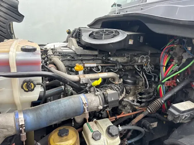 2019 FREIGHTLINER/MERCEDES CASCADIA 125