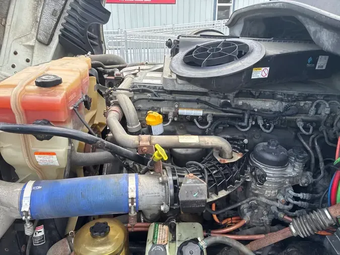 2019 FREIGHTLINER/MERCEDES CASCADIA 125