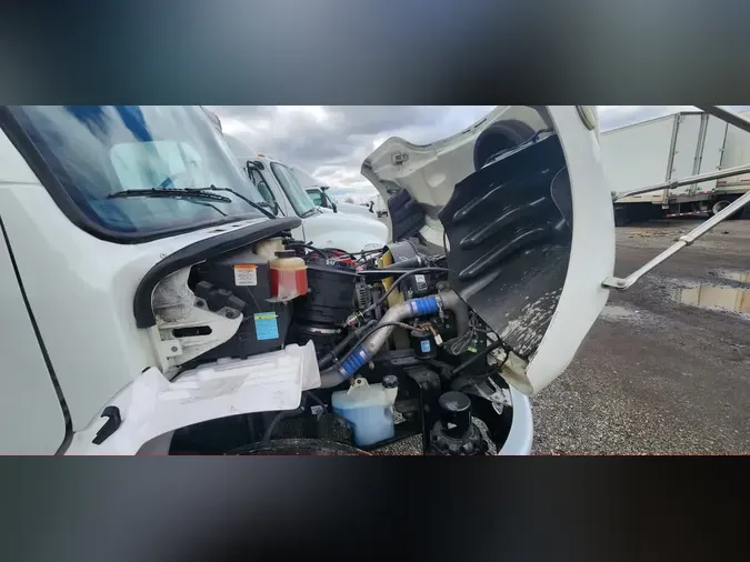 2019 FREIGHTLINER/MERCEDES M2 106