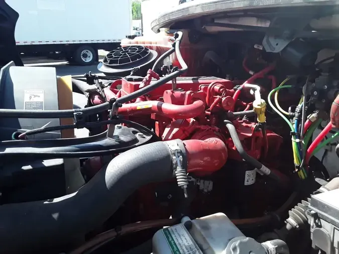 2019 FREIGHTLINER/MERCEDES M2 106